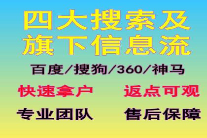 成功运用SEM服务实现品牌快速成长的案例